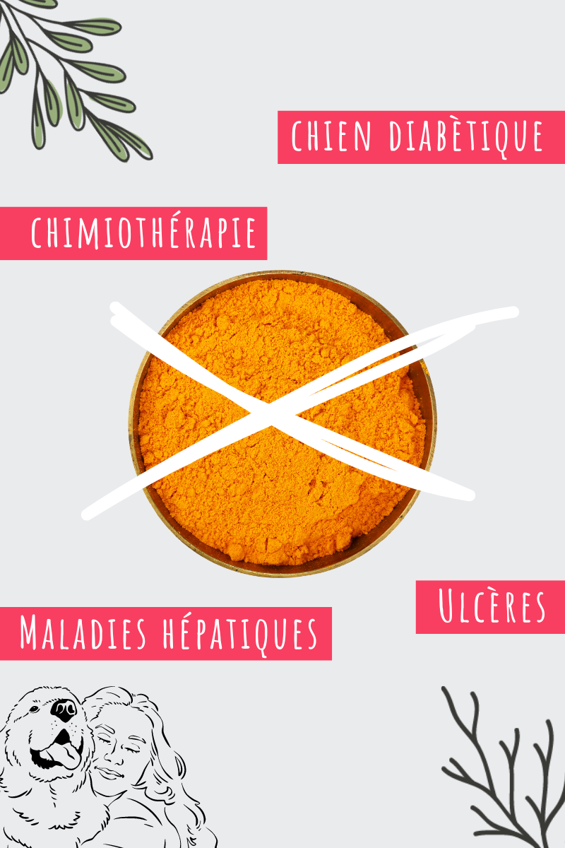 récapitulatif pathologies a risque pour l'usage du curcuma chez le chien
