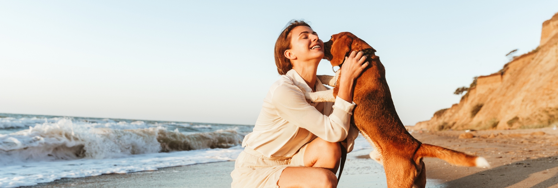 Présentation du produit curcuma et poivre noir de phyto compagnon dans un article dédié aux bienfaits du curcuma pour chien.