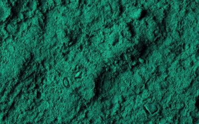 Spiruline pour chiens et chats : bonne ou mauvaise idée ?